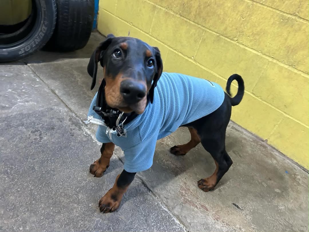 Karli standing in a blue jumper